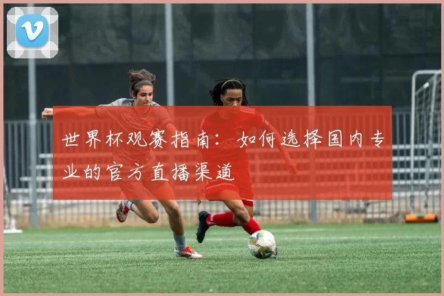 世界杯观赛指南:如何选择国内专业的官方直播渠道