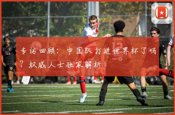 专访回顾：中国队打进世界杯了吗？权威人士独家解析