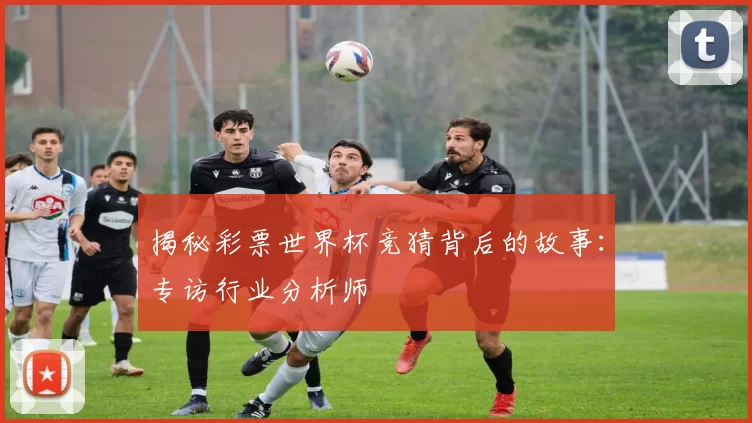 揭秘彩票世界杯竞猜背后的故事：专访行业分析师