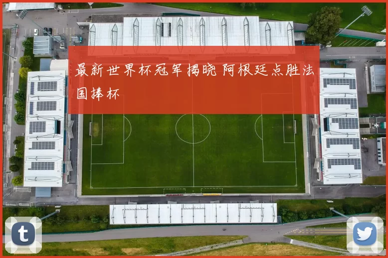 最新世界杯冠军揭晓 阿根廷点胜法国捧杯