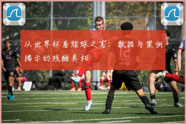 从世界杯看赌球之害:数据与案例揭示的残酷真相