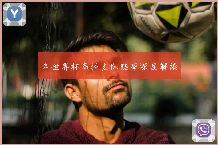 年世界杯乌拉圭队赔率深度解读
