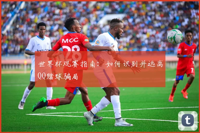 世界杯观赛指南：如何识别并远离QQ赌球骗局
