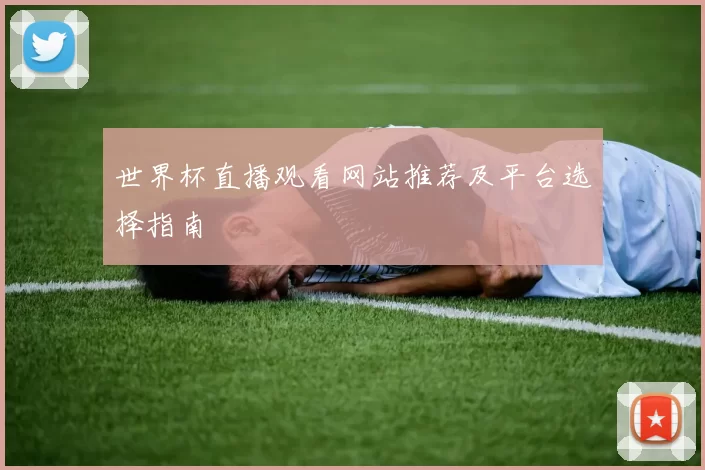 世界杯直播观看网站推荐及平台选择指南