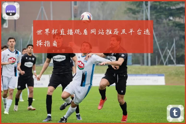 世界杯直播观看网站推荐及平台选择指南