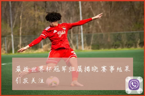 最近世界杯冠军归属揭晓 赛事结果引发关注